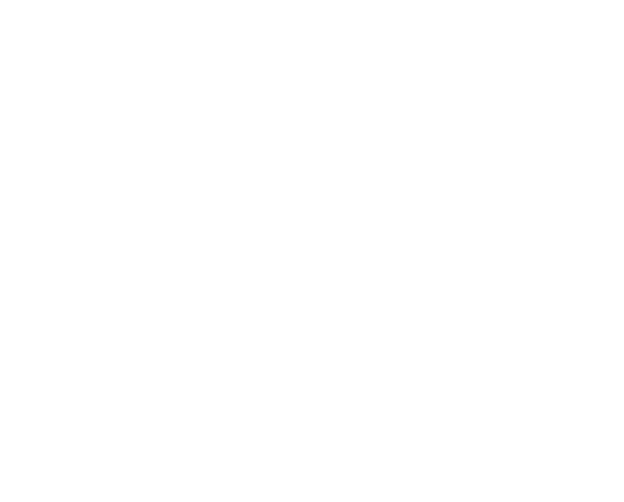 schön so salon  beLLia
